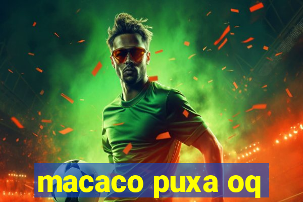 macaco puxa oq