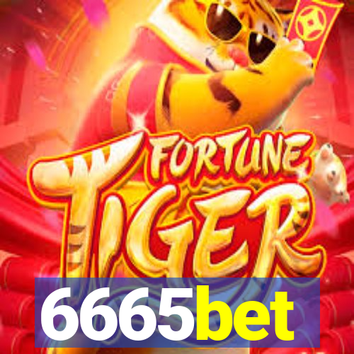 6665bet