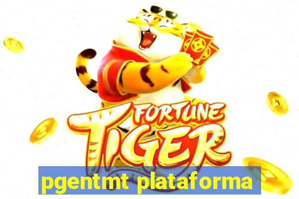 pgentmt plataforma