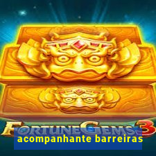 acompanhante barreiras