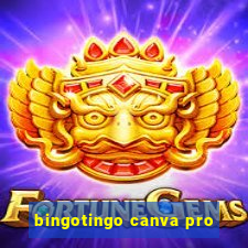 bingotingo canva pro