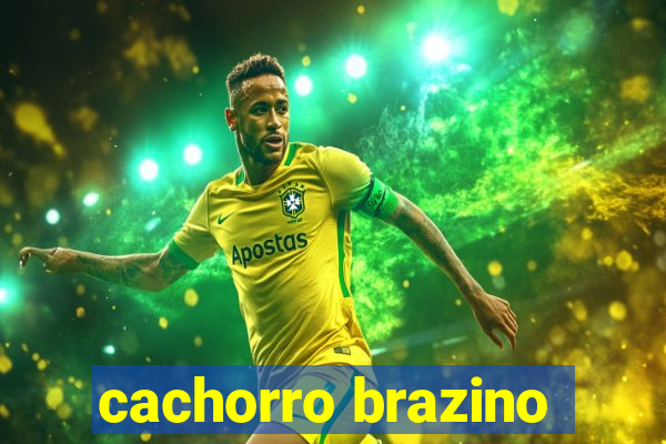 cachorro brazino