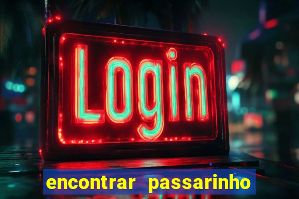 encontrar passarinho morto significado