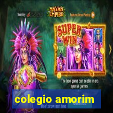 colegio amorim