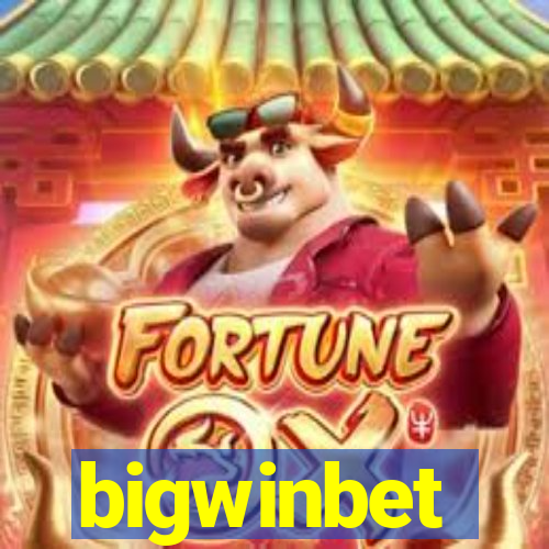 bigwinbet